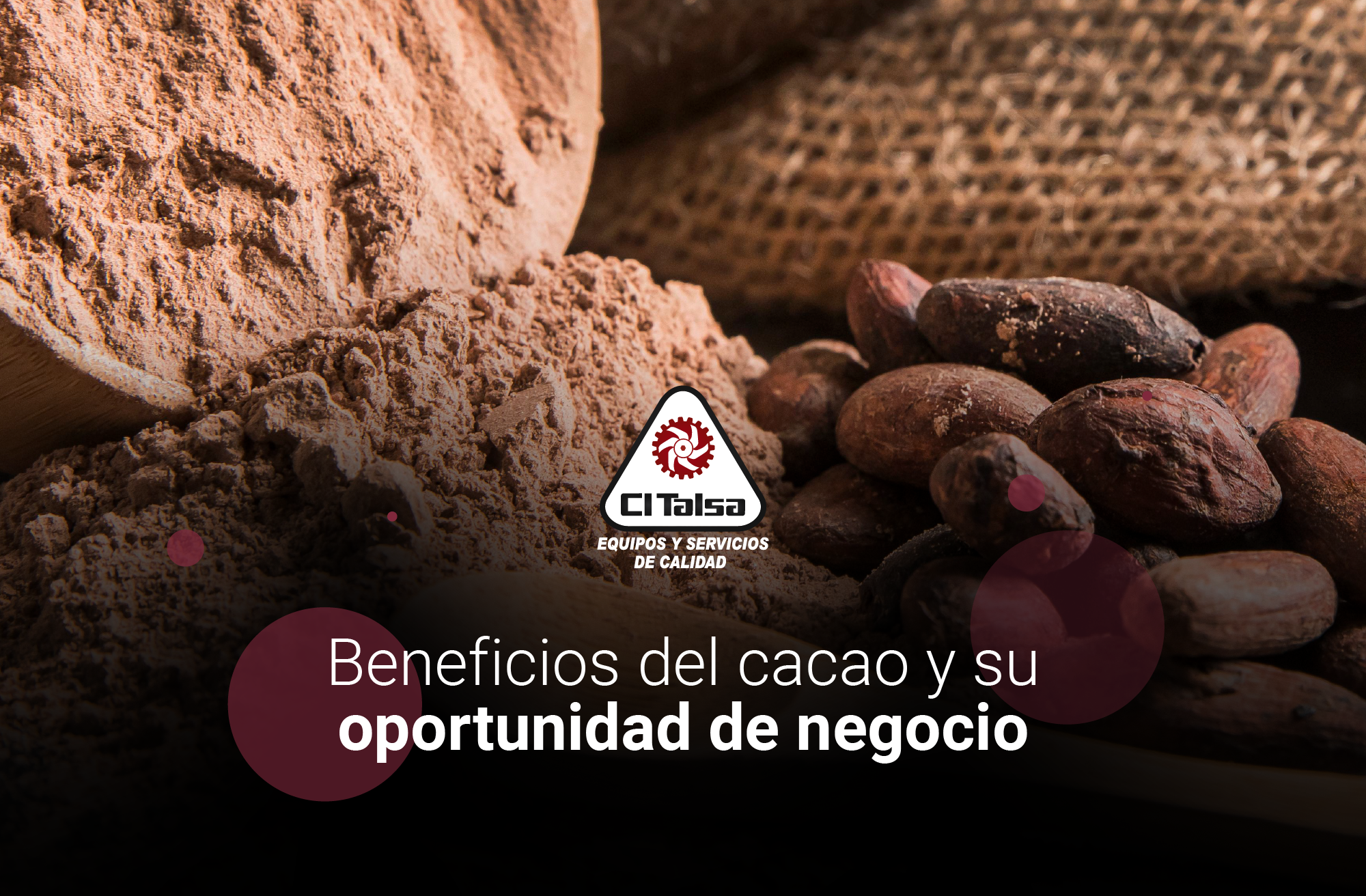 Beneficios del cacao y su oportunidad de negocio