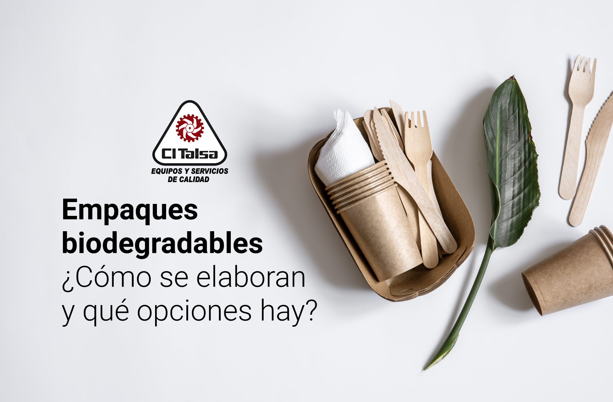 Empaques biodegradables ¿Cómo se elaboran y qué opciones hay?