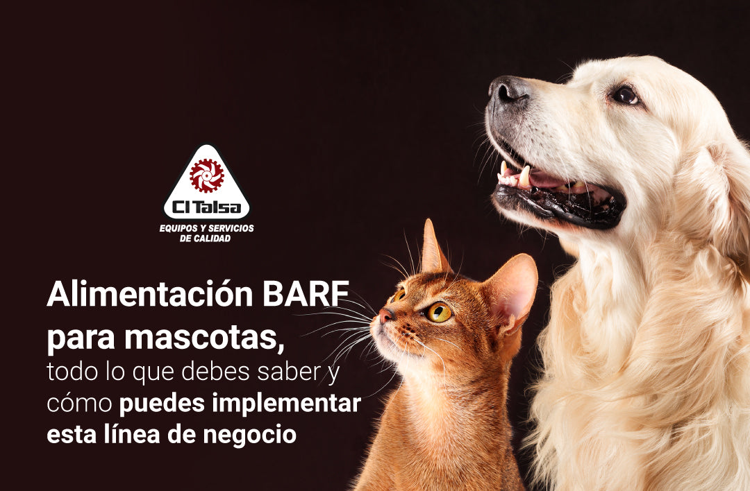 Alimentación BARF para mascotas, todo lo que debes saber y cómo puedes implementar esta línea de negocio